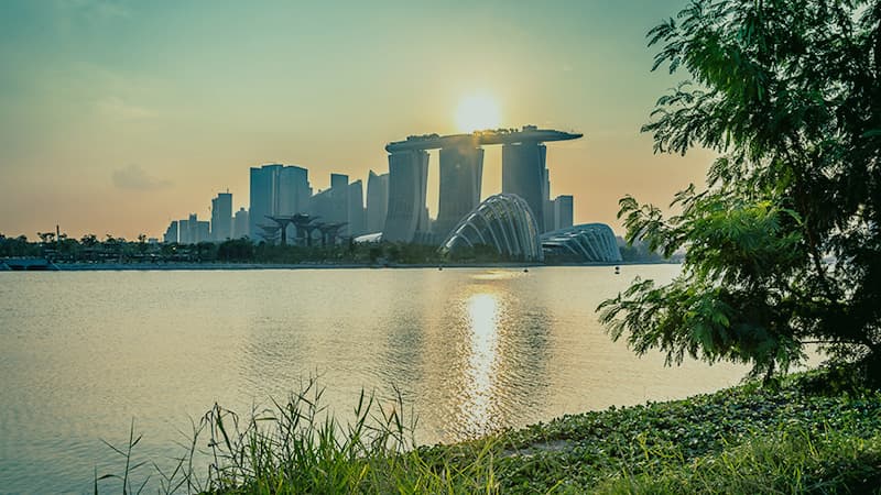 LVI Associates Singapore Office