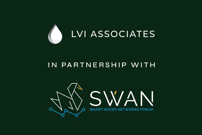 LVI And Swan 2