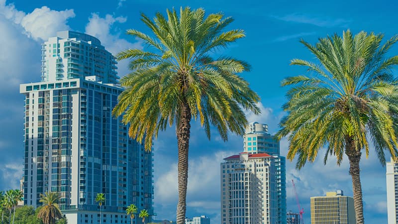 FINAL LVI Associates Tampa Office