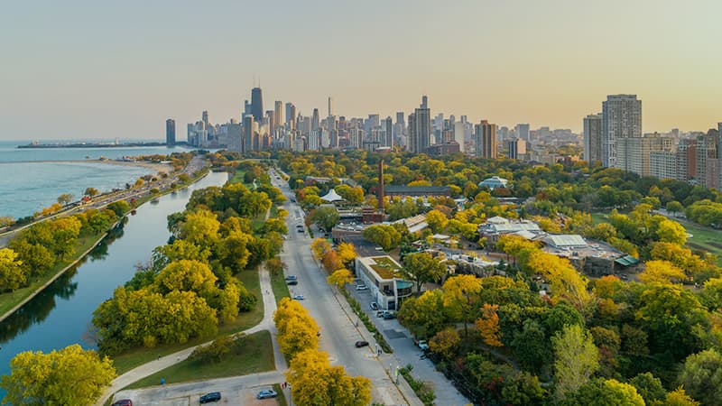 LVI Associates Chicago Office