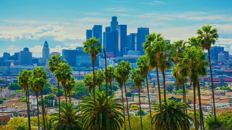 FINAL LVI Associates Los Angeles Office