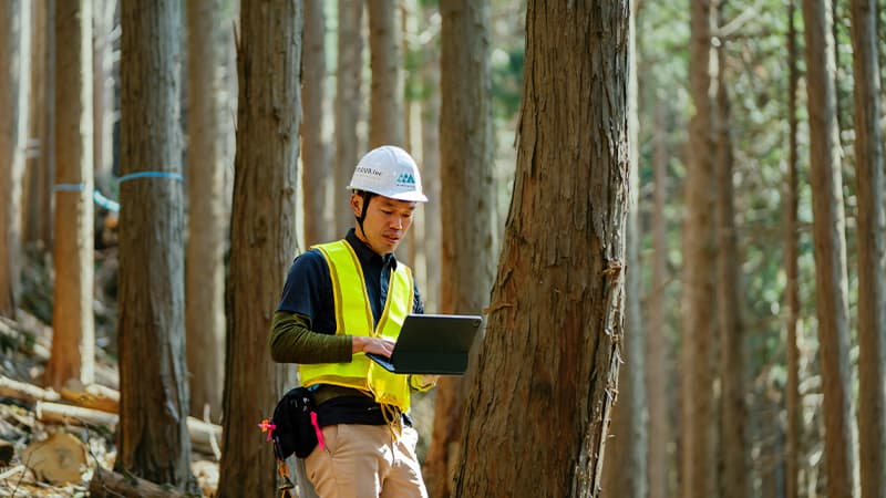 Bridging Industries Transferable Skills For Japans Renewable Energy Workforce