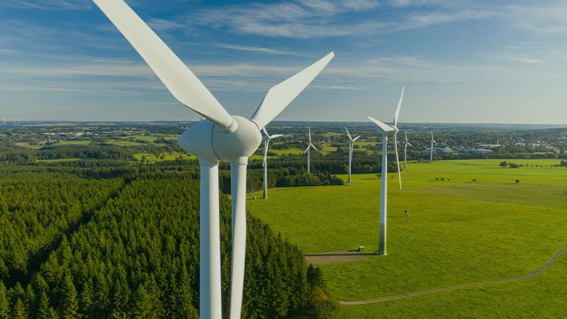 Green Careers In Germany A Deep Dive Into The Renewable Energy Sector