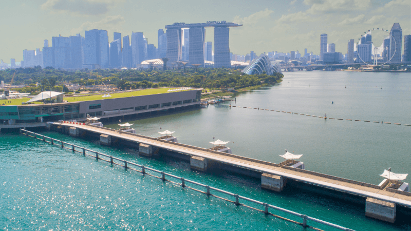 Appointing An APAC Leader For AI Water Technology Firm’S Expansion